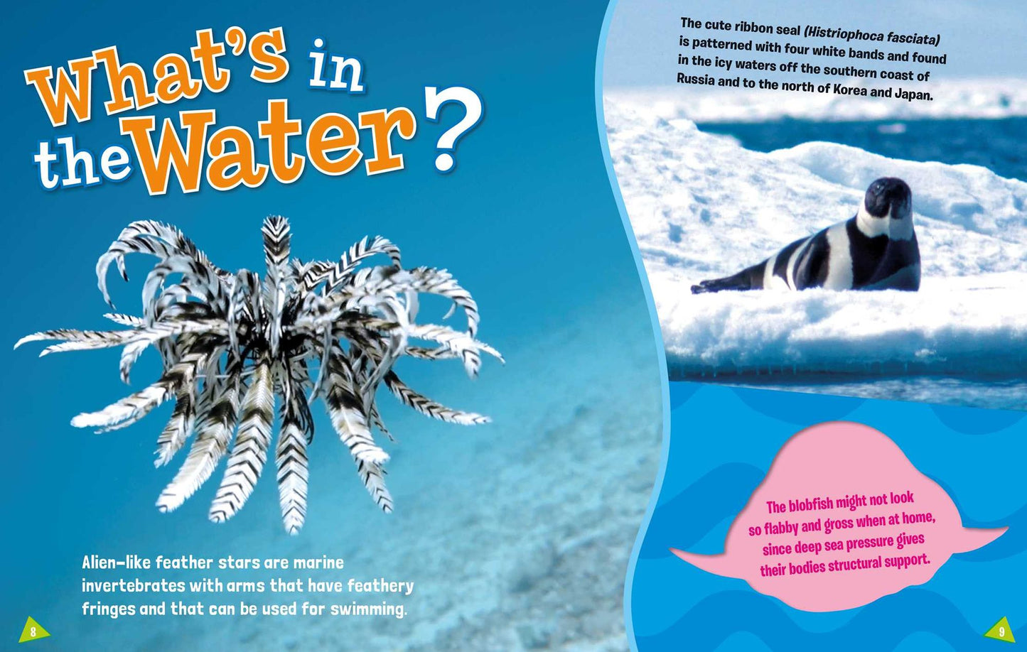 Ripley's Fun Facts & Silly Stories: The Mane Event
