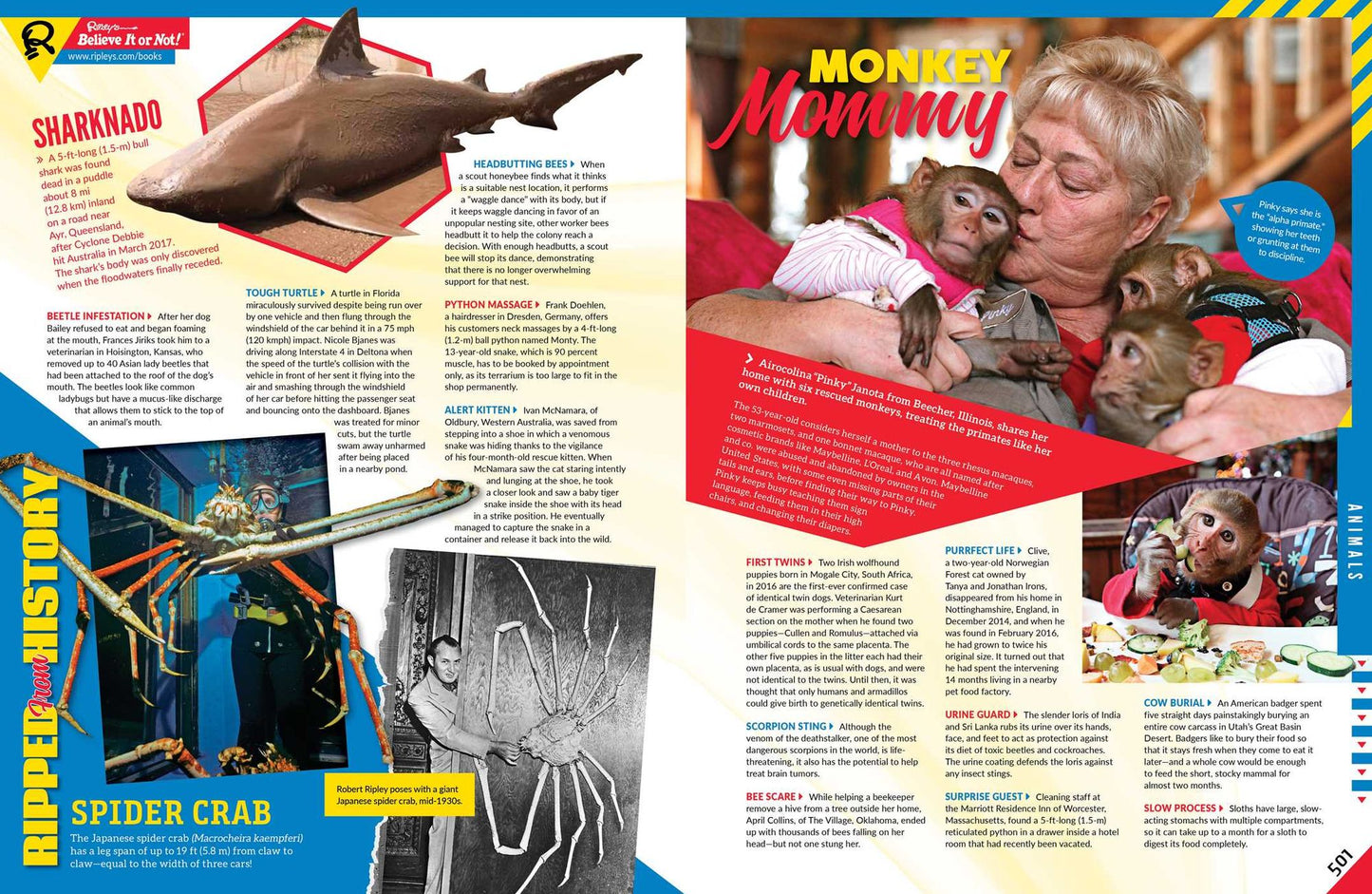Ripley's Believe It Or Not! A Century Of Change!