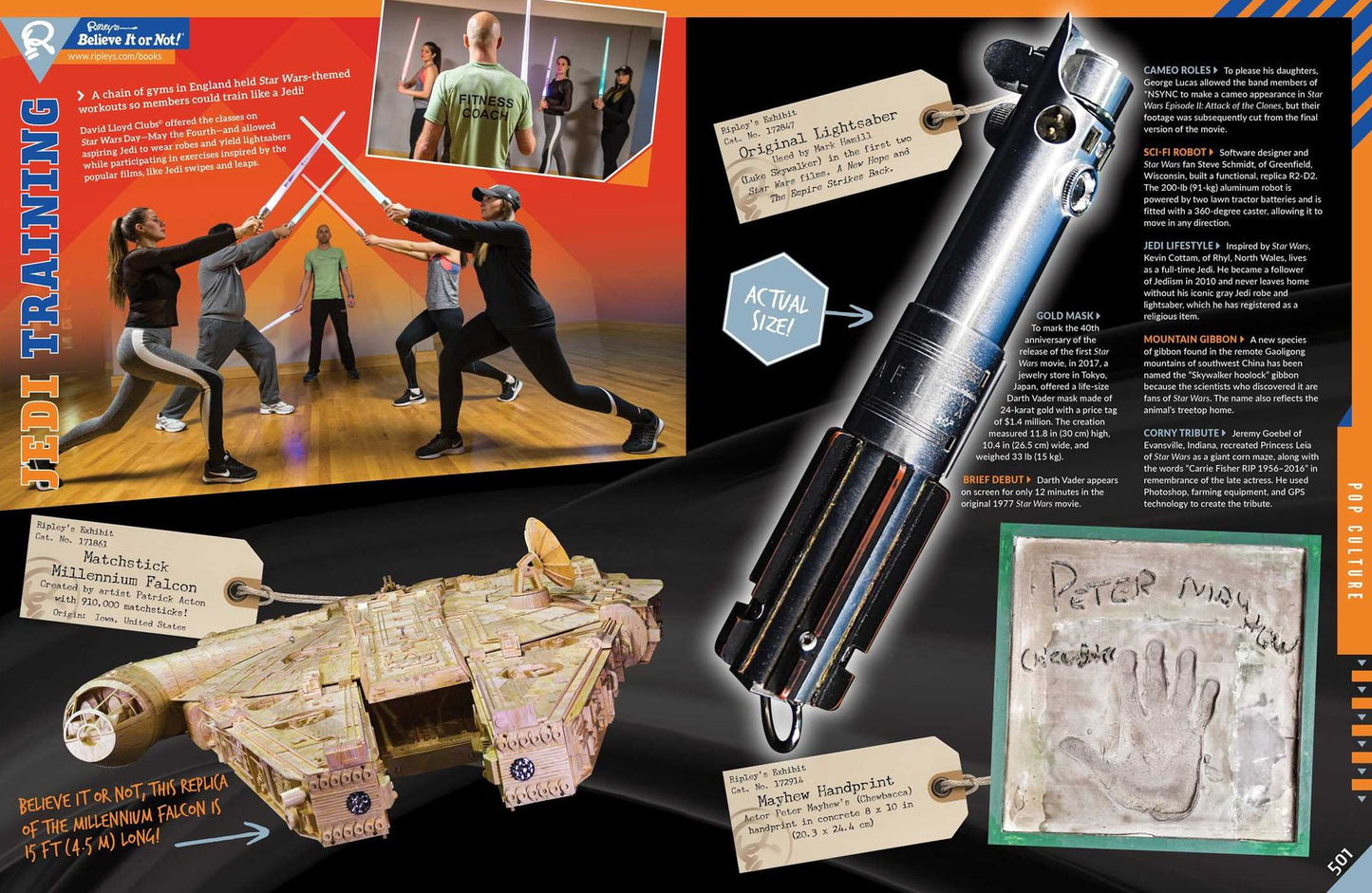 Ripley's Believe It Or Not! A Century Of Change!