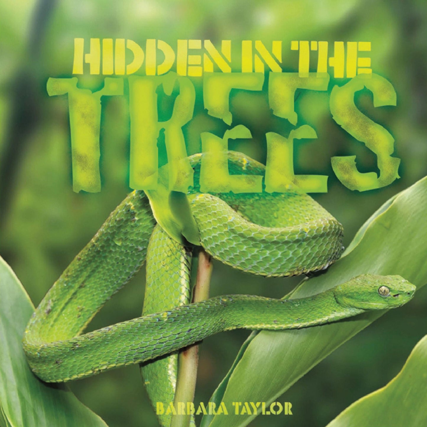 Hidden in the Trees