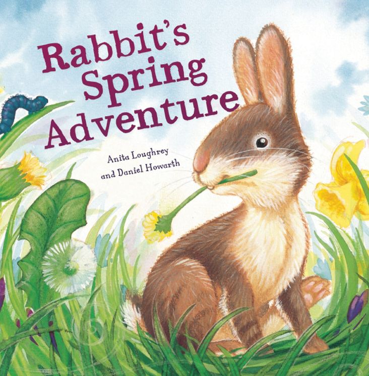 Rabbit's Spring Adventure