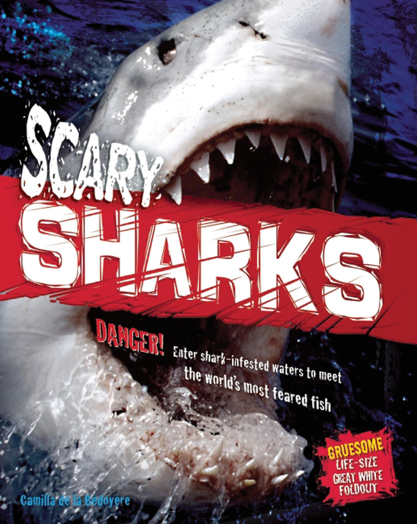 Scary Sharks