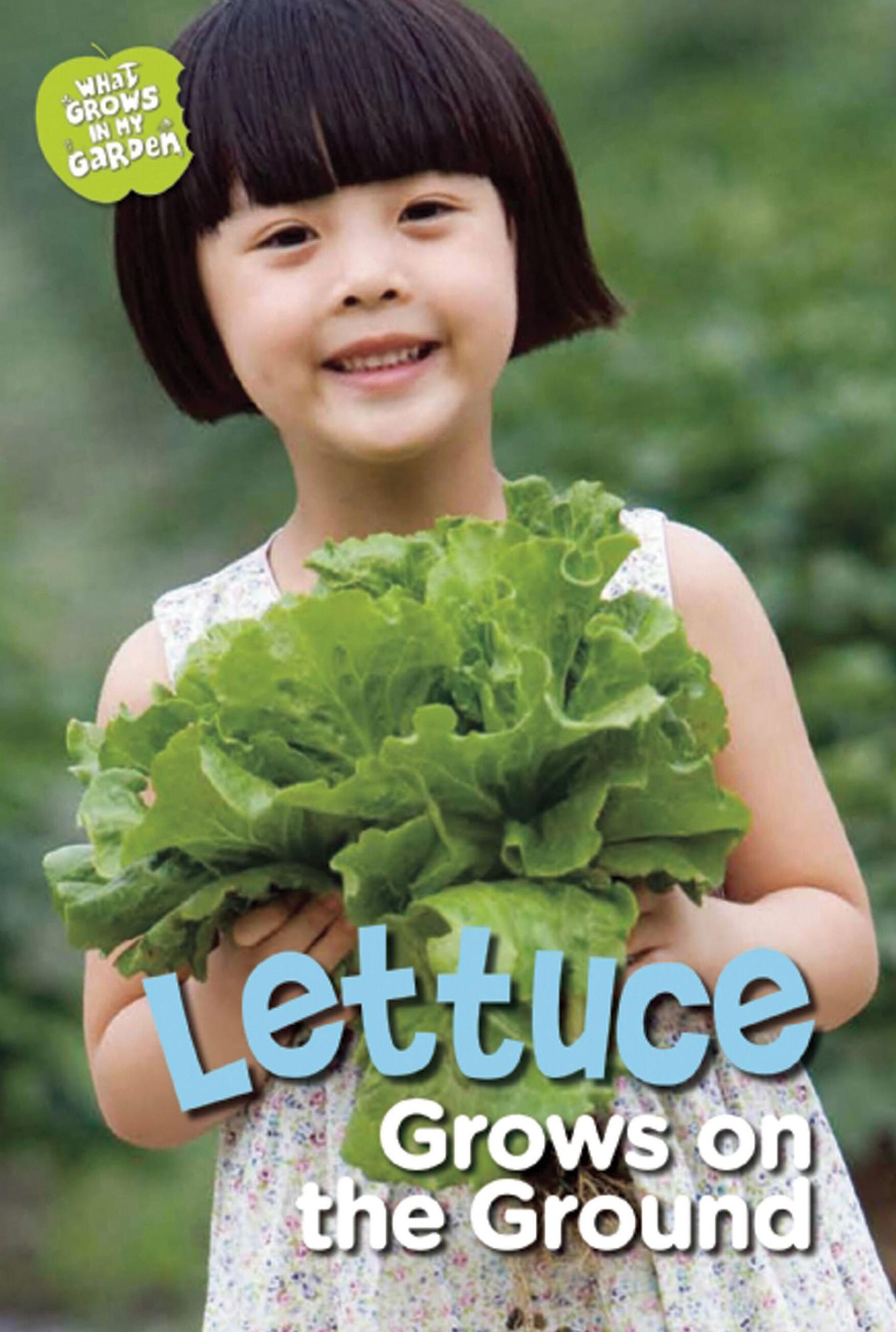 Lettuce Grows on the Ground