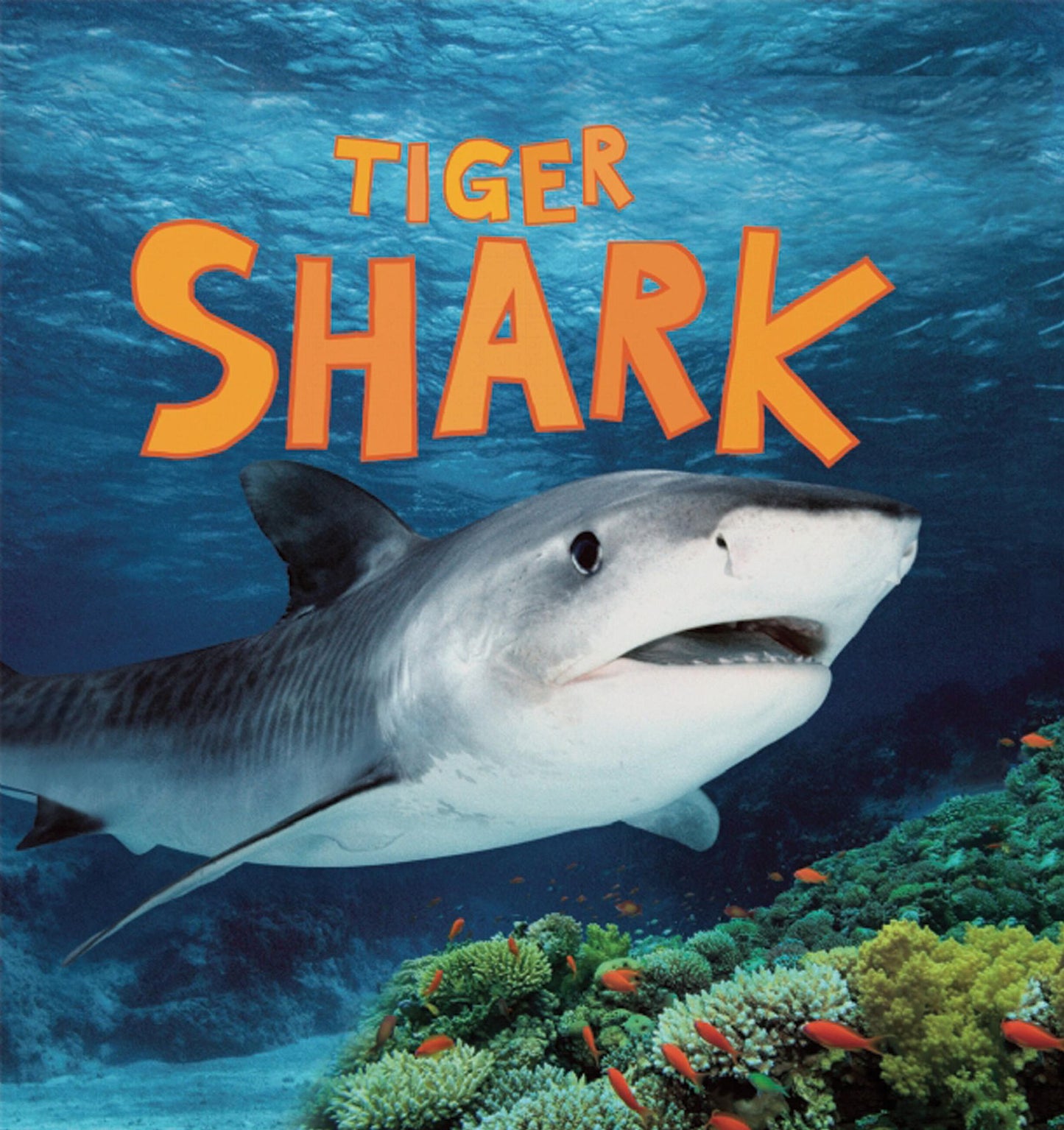 Tiger Shark