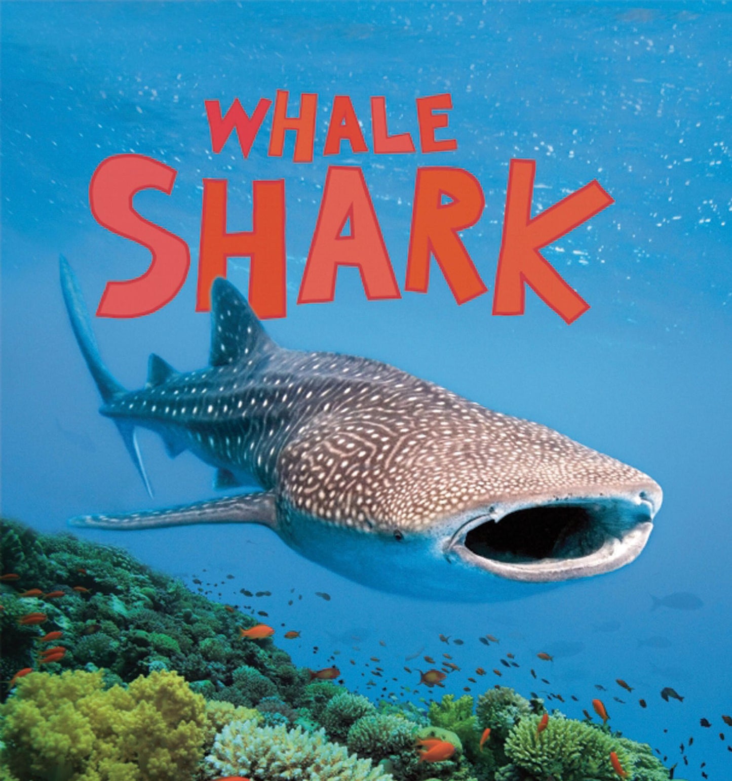 Whale Shark