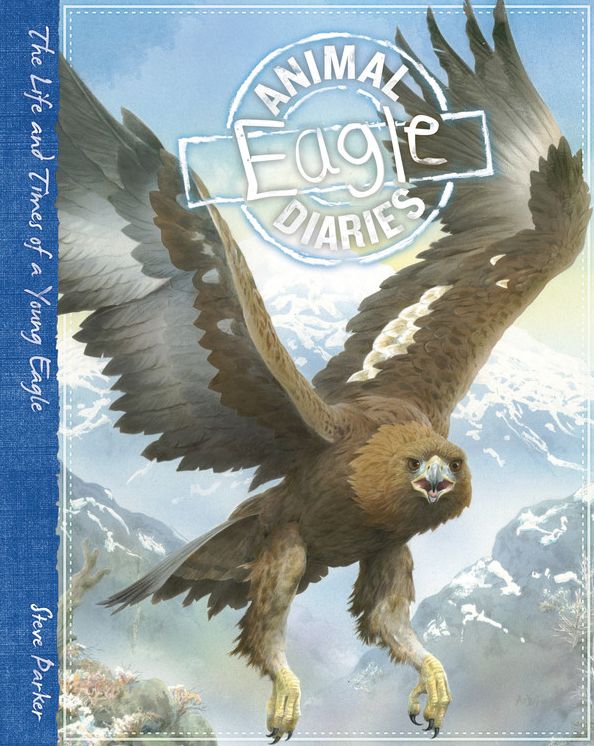 Eagle: The Life and Times of a Young Eagle