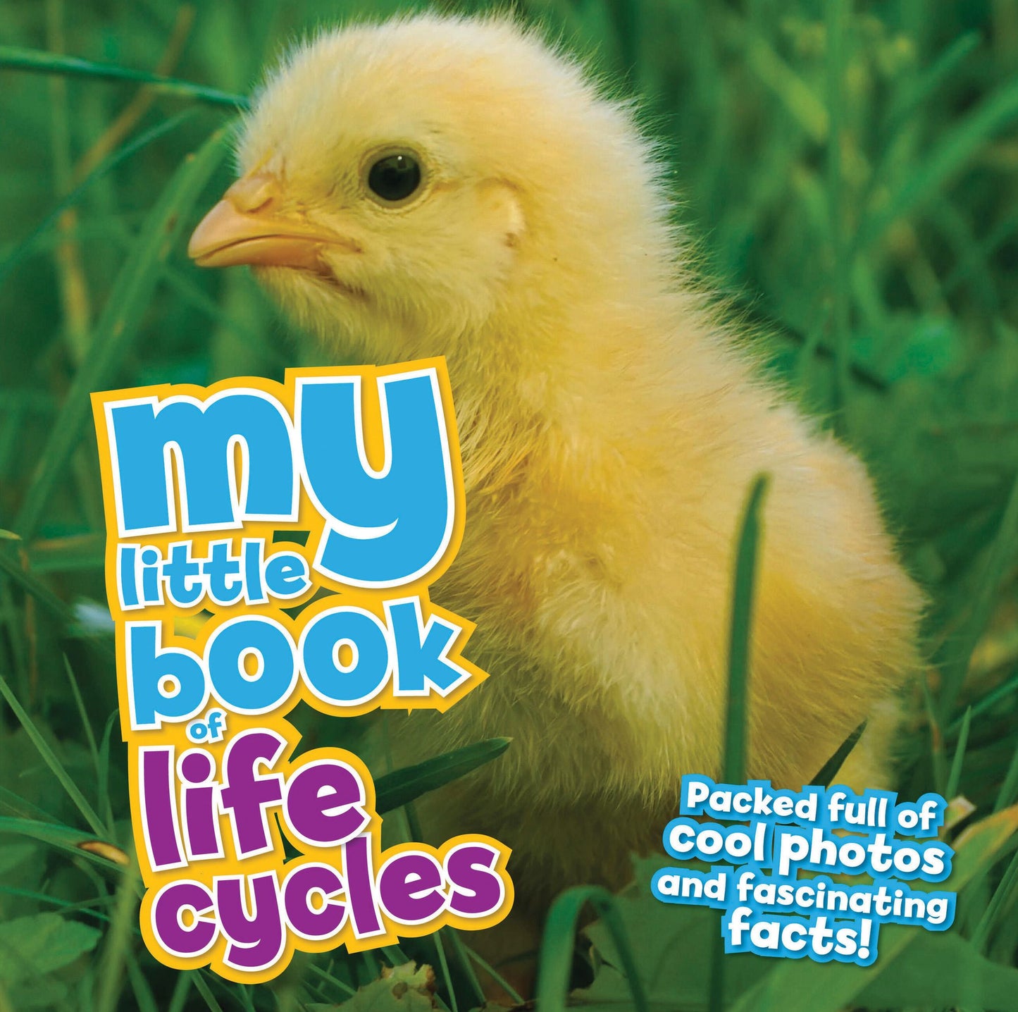 My Little Book of Life Cycles: Packed full of cool photos and fascinating facts!