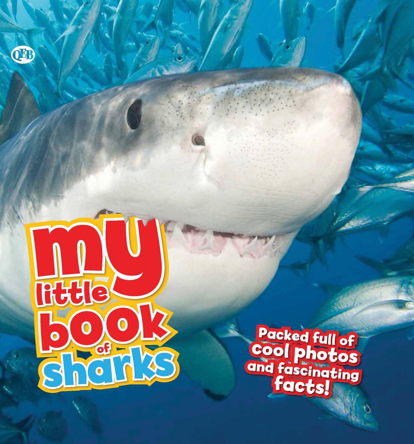 My Little Book of Sharks: Packed full of cool photos and fascinating facts!