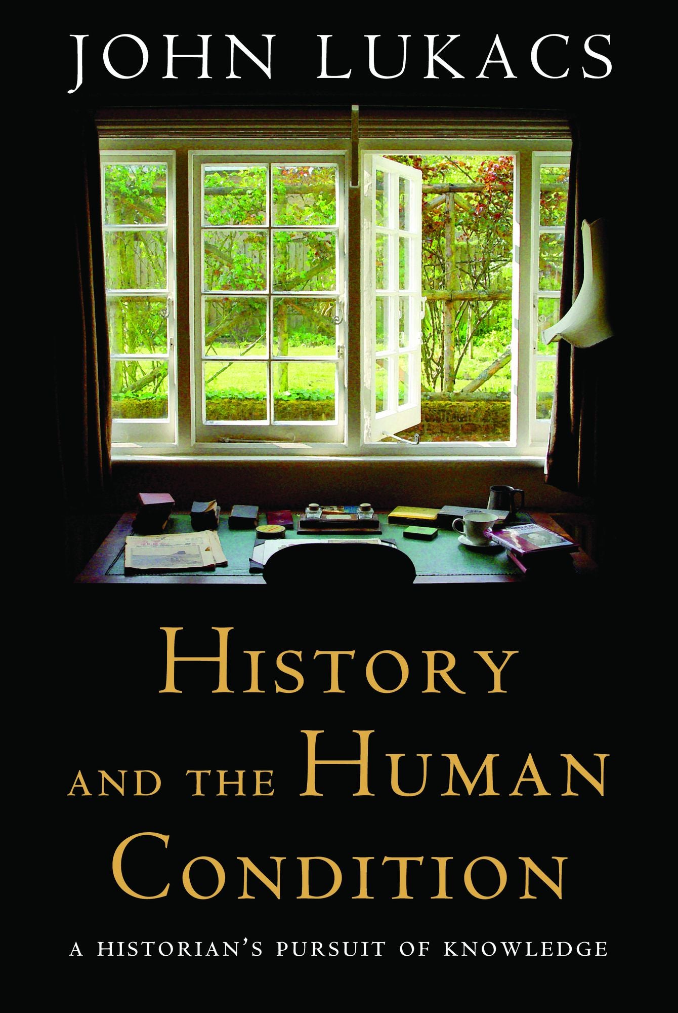 History and the Human Condition: A Historian's Pursuit of Knowledge