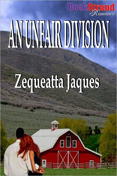 An Unfair Division (BookStrand Publishing Romance)