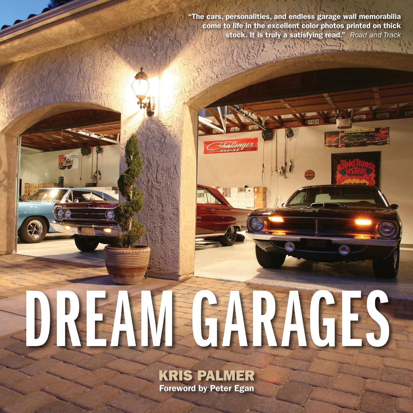 Dream Garages (PagePerfect NOOK Book)