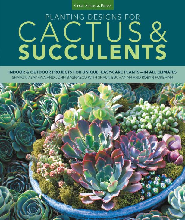 Planting Designs for Cactus & Succulents: Indoor and Outdoor Projects for Unique, Easy-Care Plants--in All Climates (PagePerfect NOOK Book)
