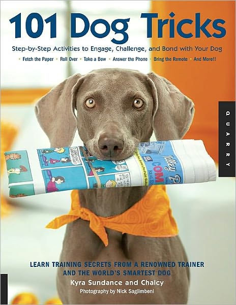 101 Dog Tricks: Step by Step Activities to Engage, Challenge, and Bond with Your Dog (PagePerfect NOOK Book)
