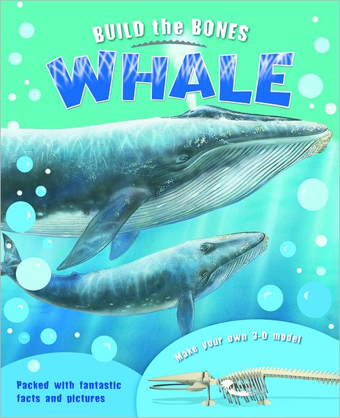 Build the Bones: Whale