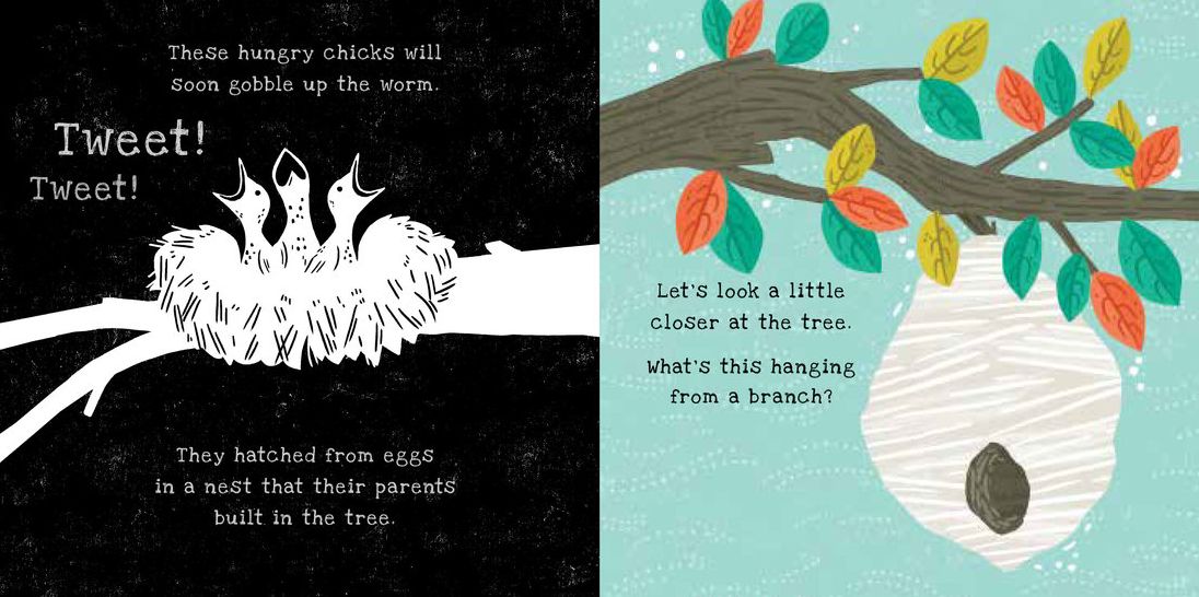 Secrets of the Apple Tree