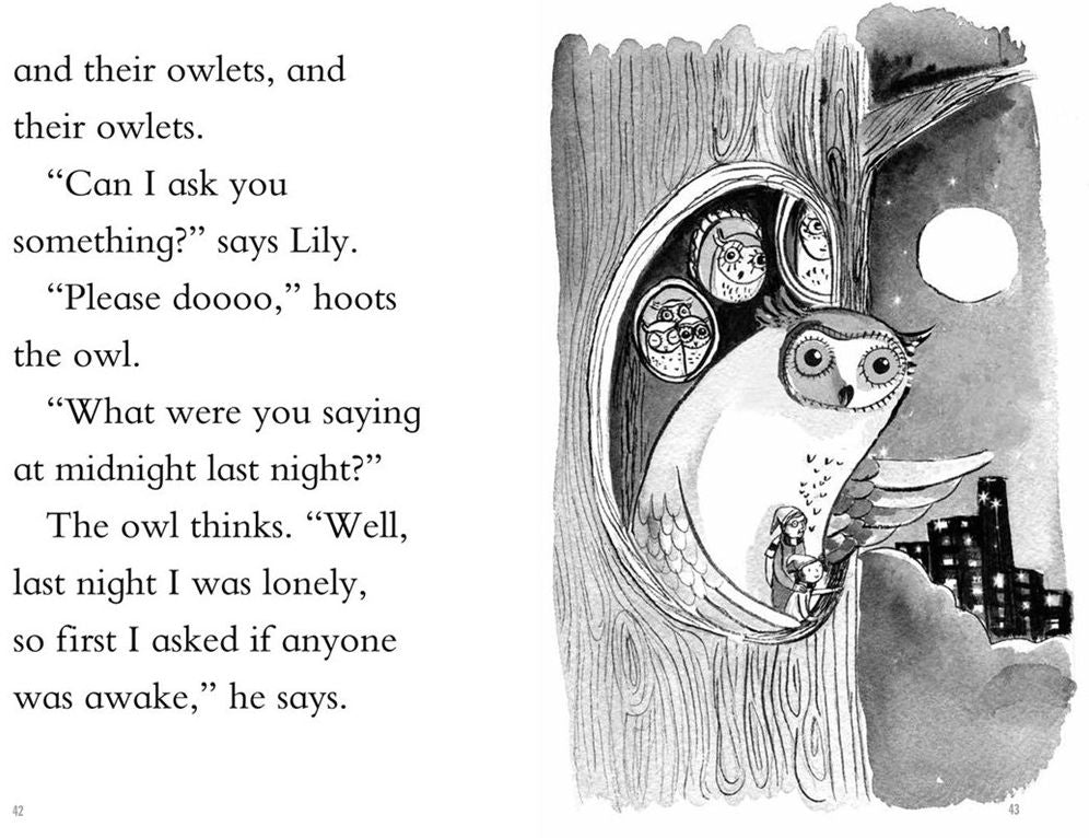 The Midnight Owl