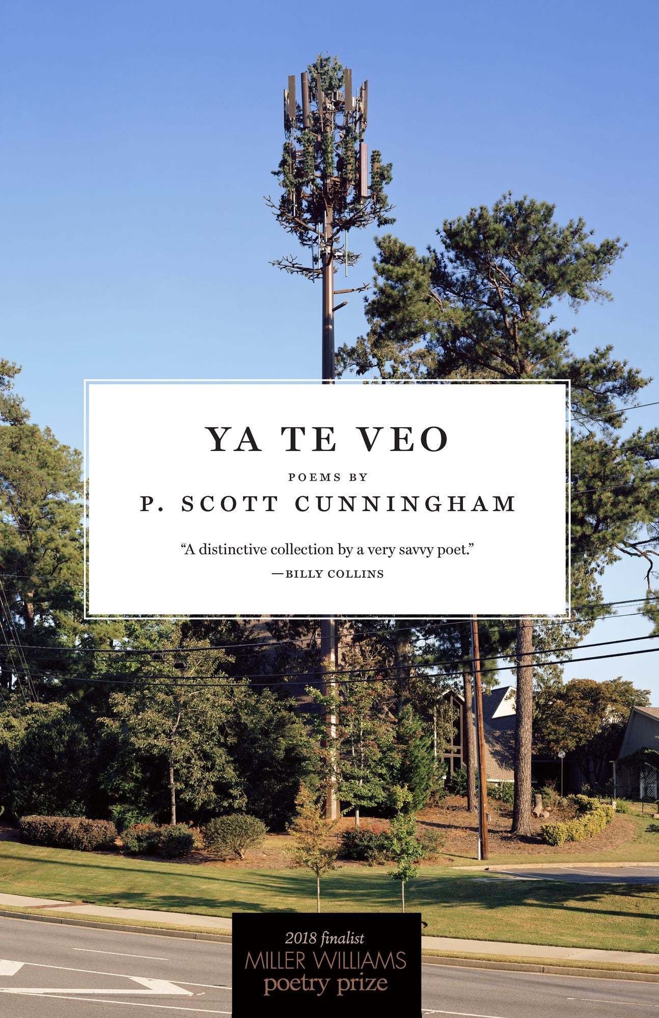 Ya Te Veo: Poems