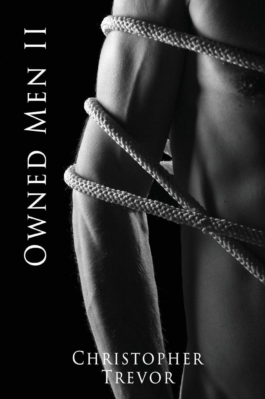 Owned Men II