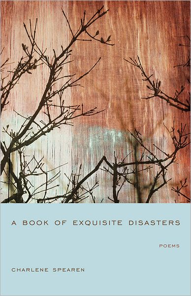 A Book of Exquisite Disasters