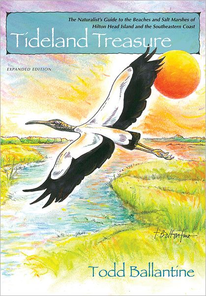 Tideland Treasure: Expanded Edition