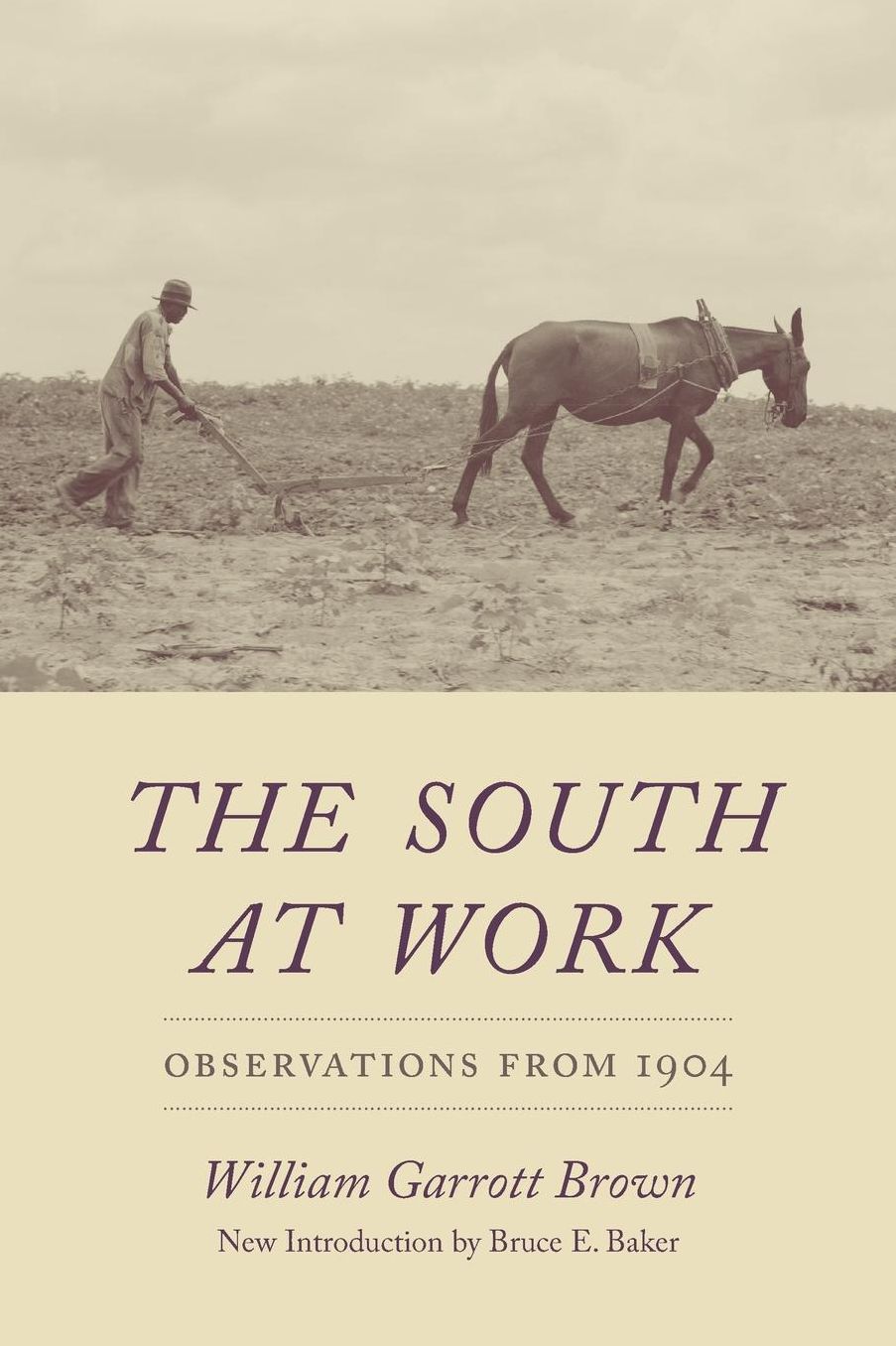 The South at Work: Observations from 1904