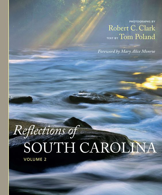 Reflections of South Carolina, Volume 2