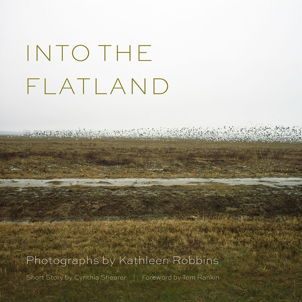 Into the Flatland