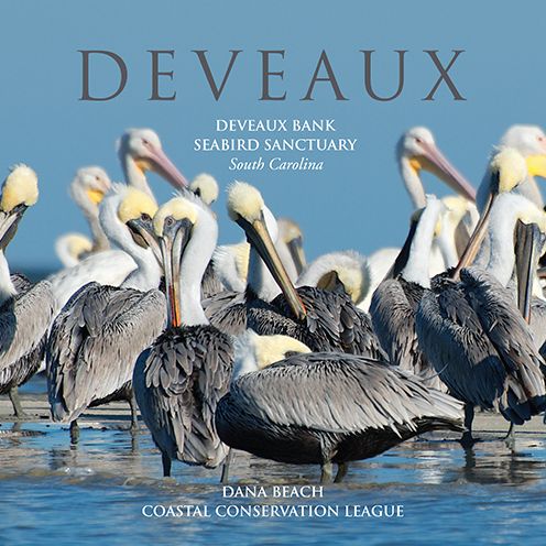 Deveaux : Deveaux Bank Seabird Sanctuary, South Carolina