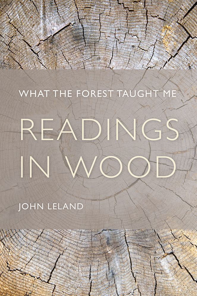 Readings in Wood: What the Forest Taught Me