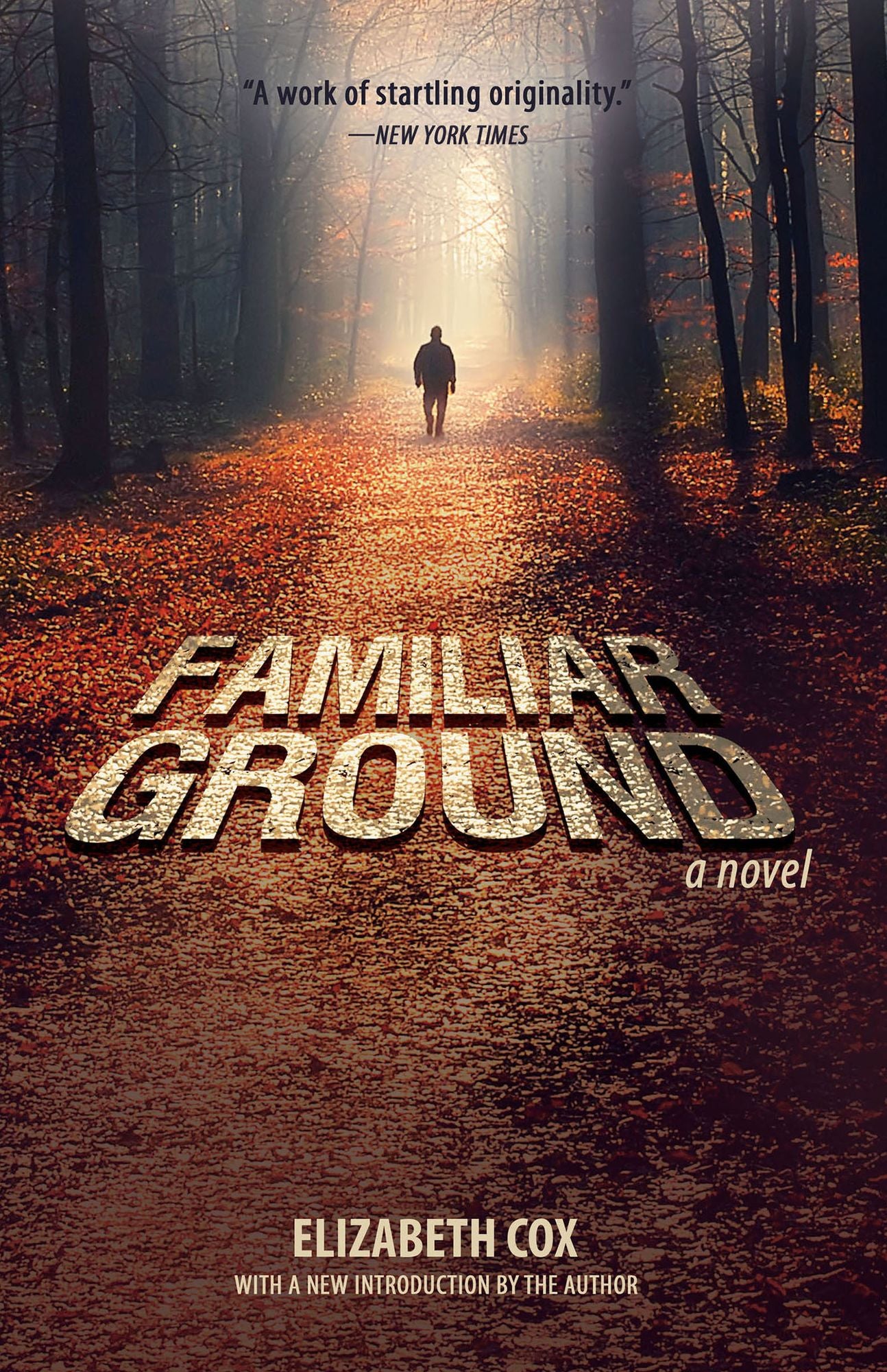 Familiar Ground: A Novel