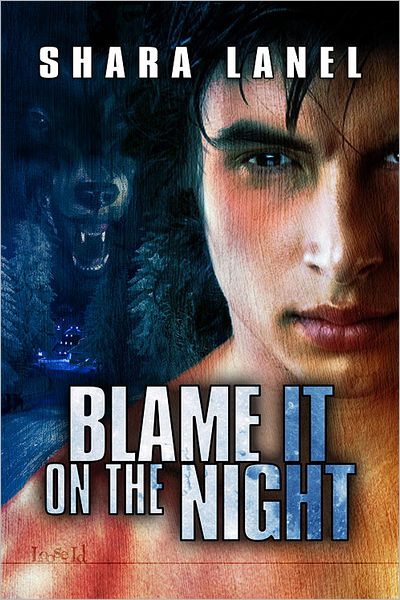 Blame it on the Night