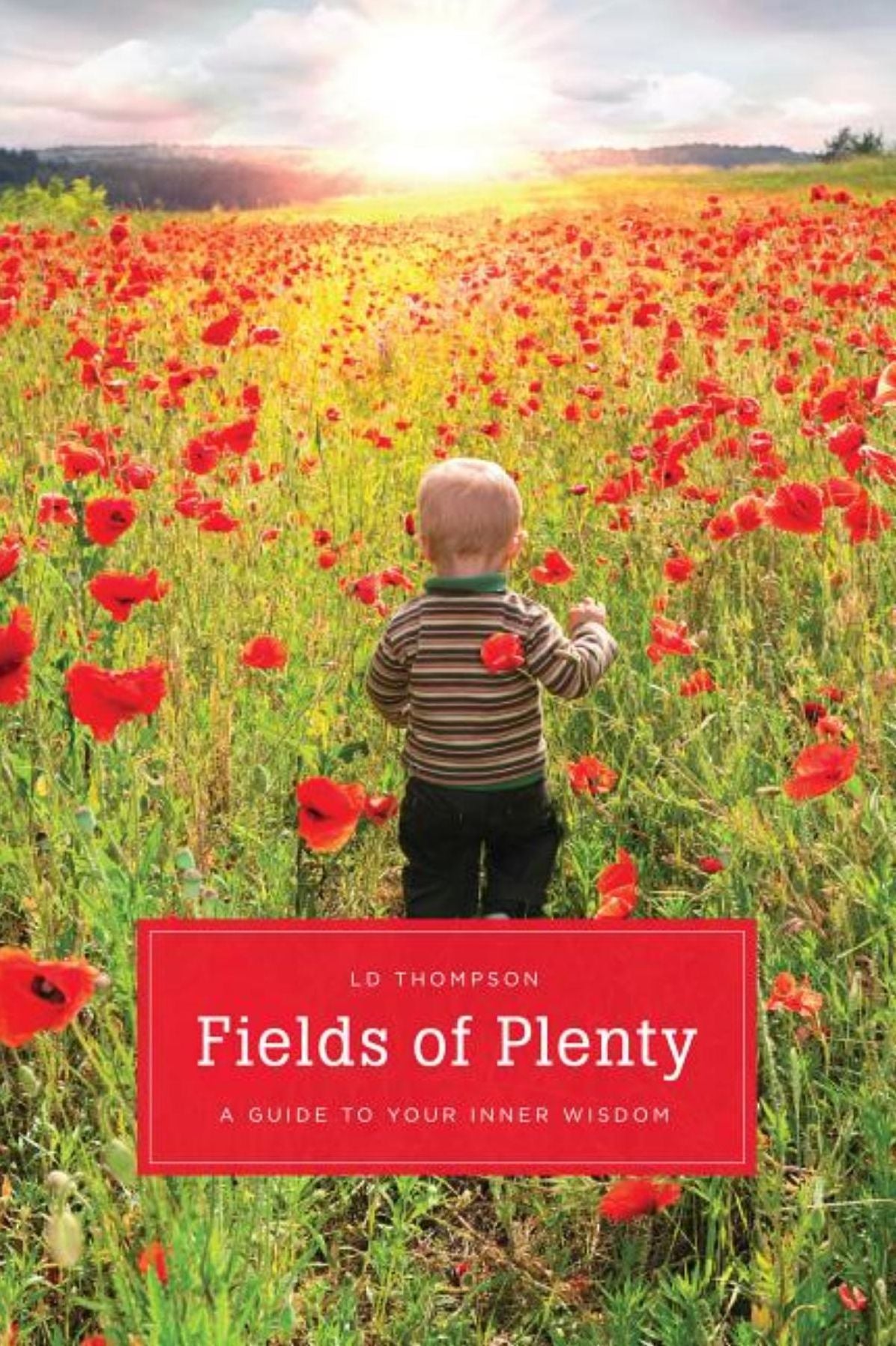 Fields of Plenty: A Guide to Your Inner Wisdom