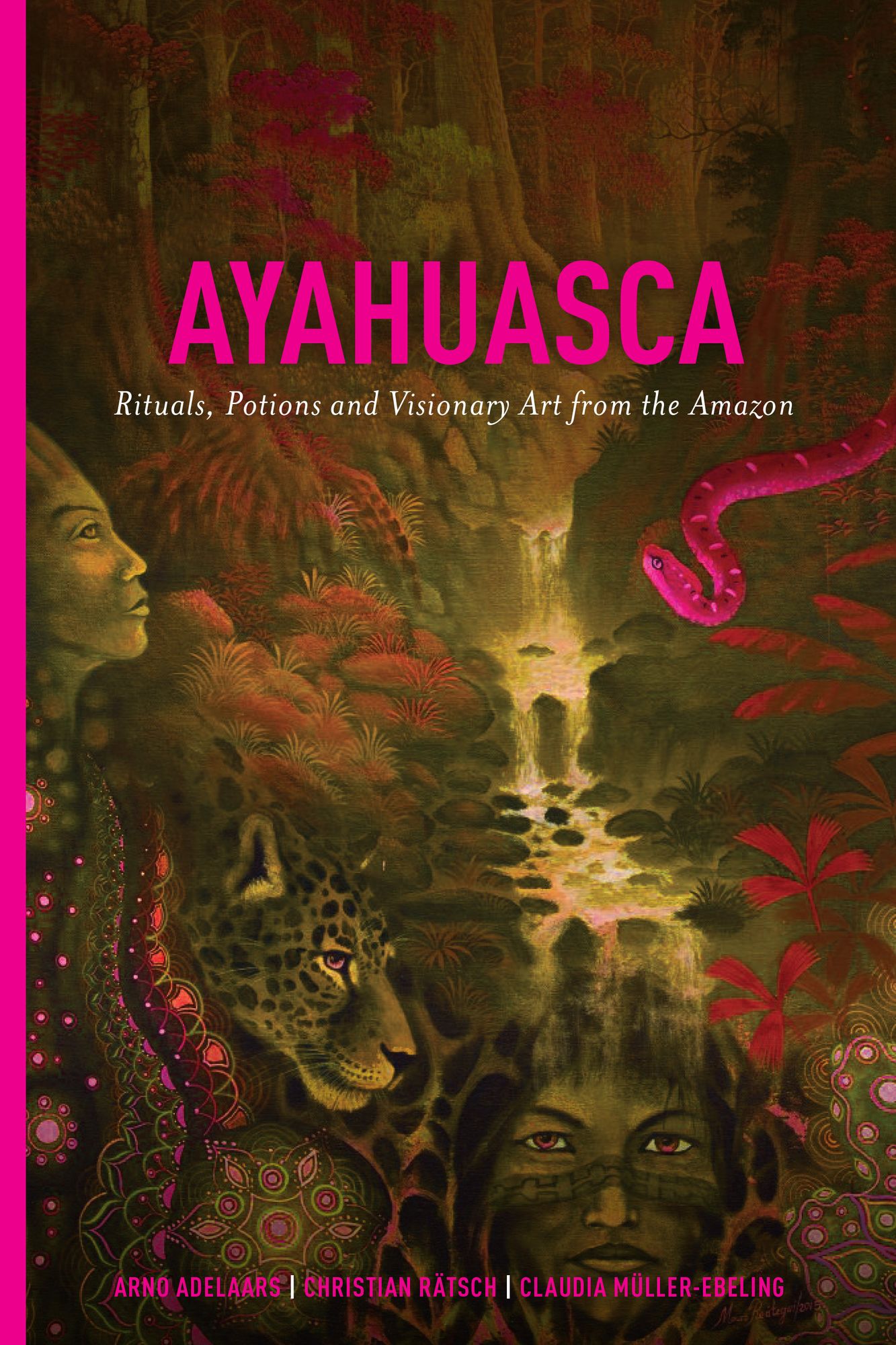Ayahuasca: Rituals, Potions and Visionary Art from the Amazon