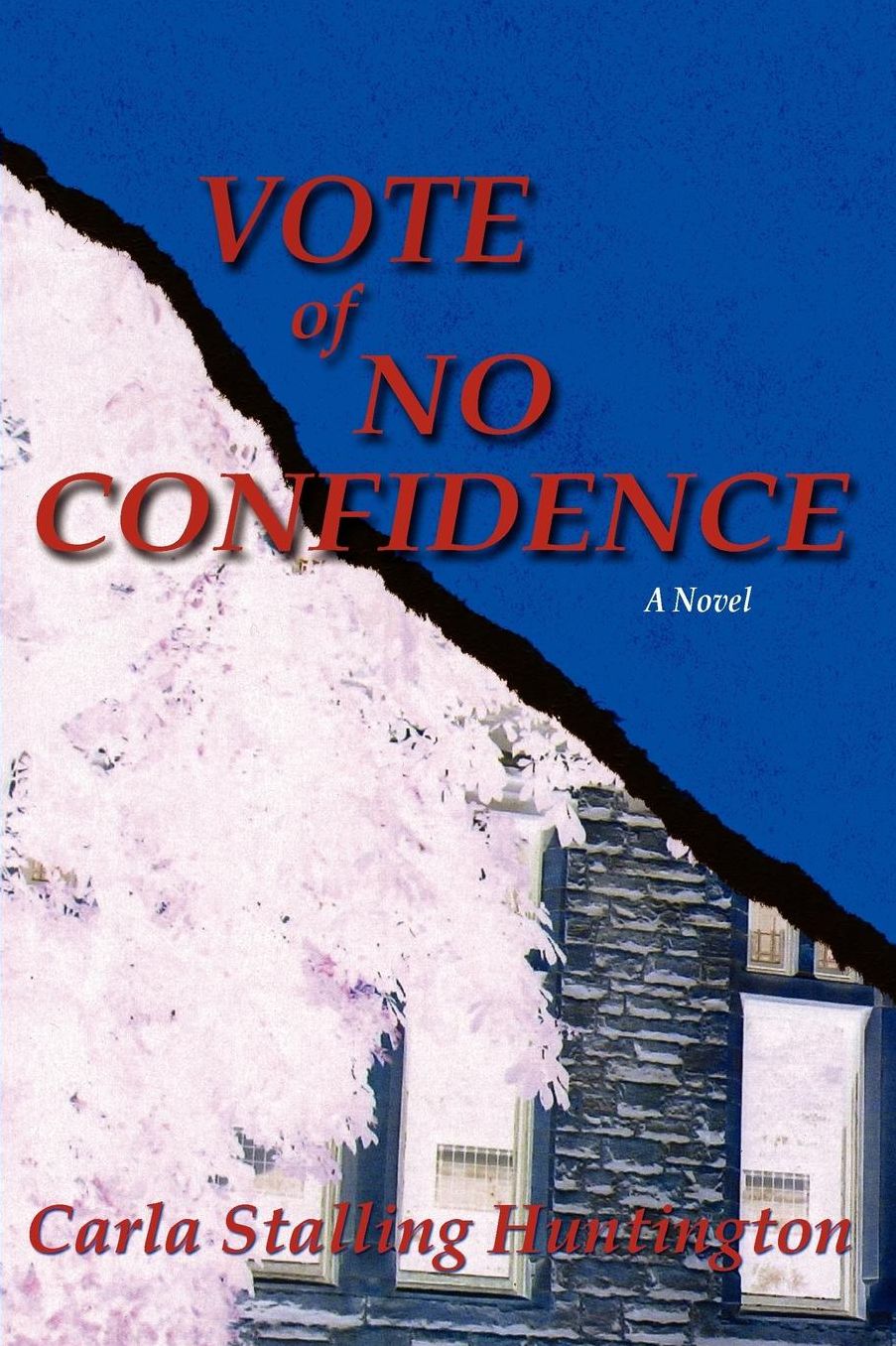 Vote of No Confidence: A Novel