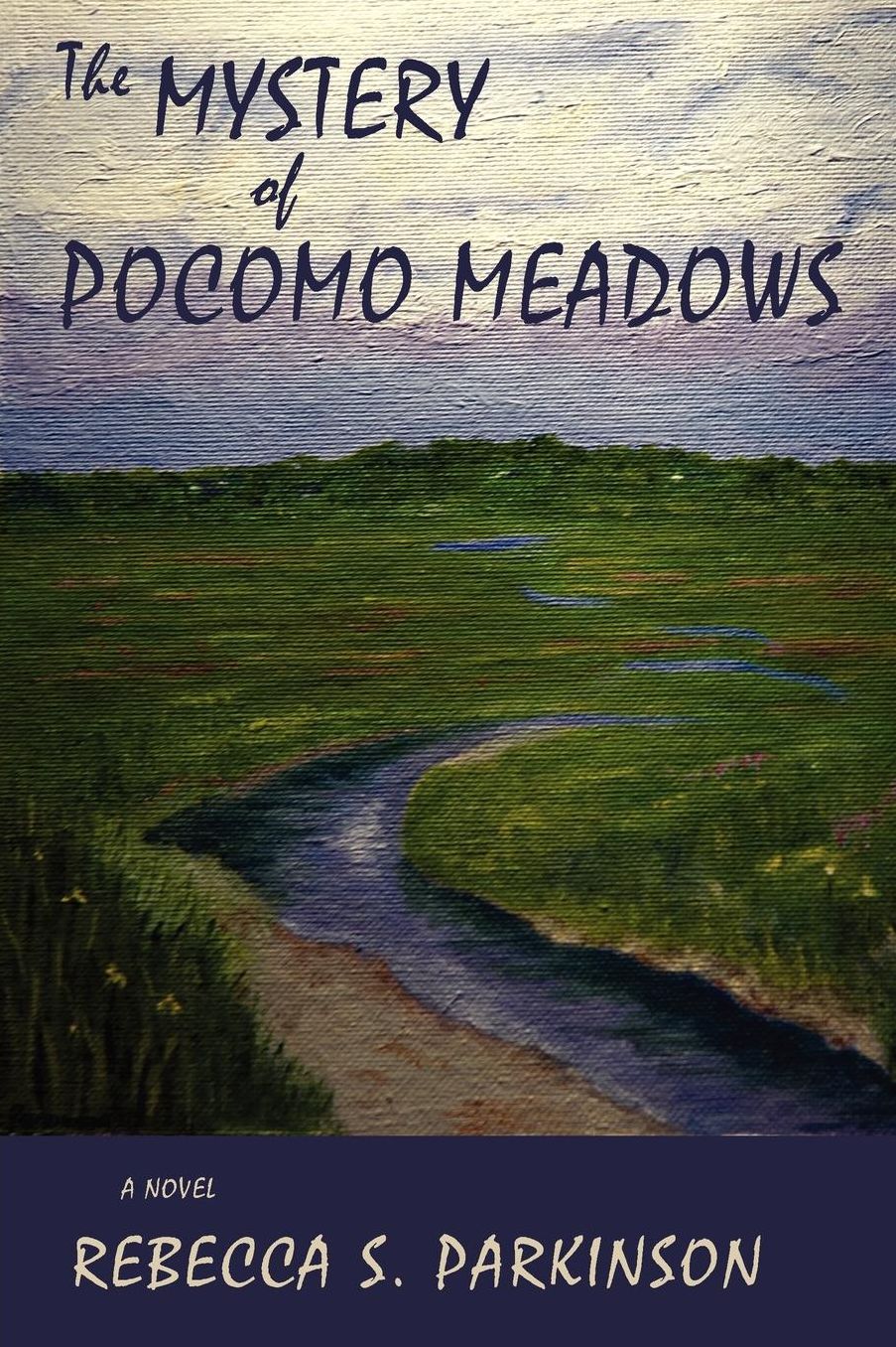 The Mystery of Pocomo Meadows: A Novel