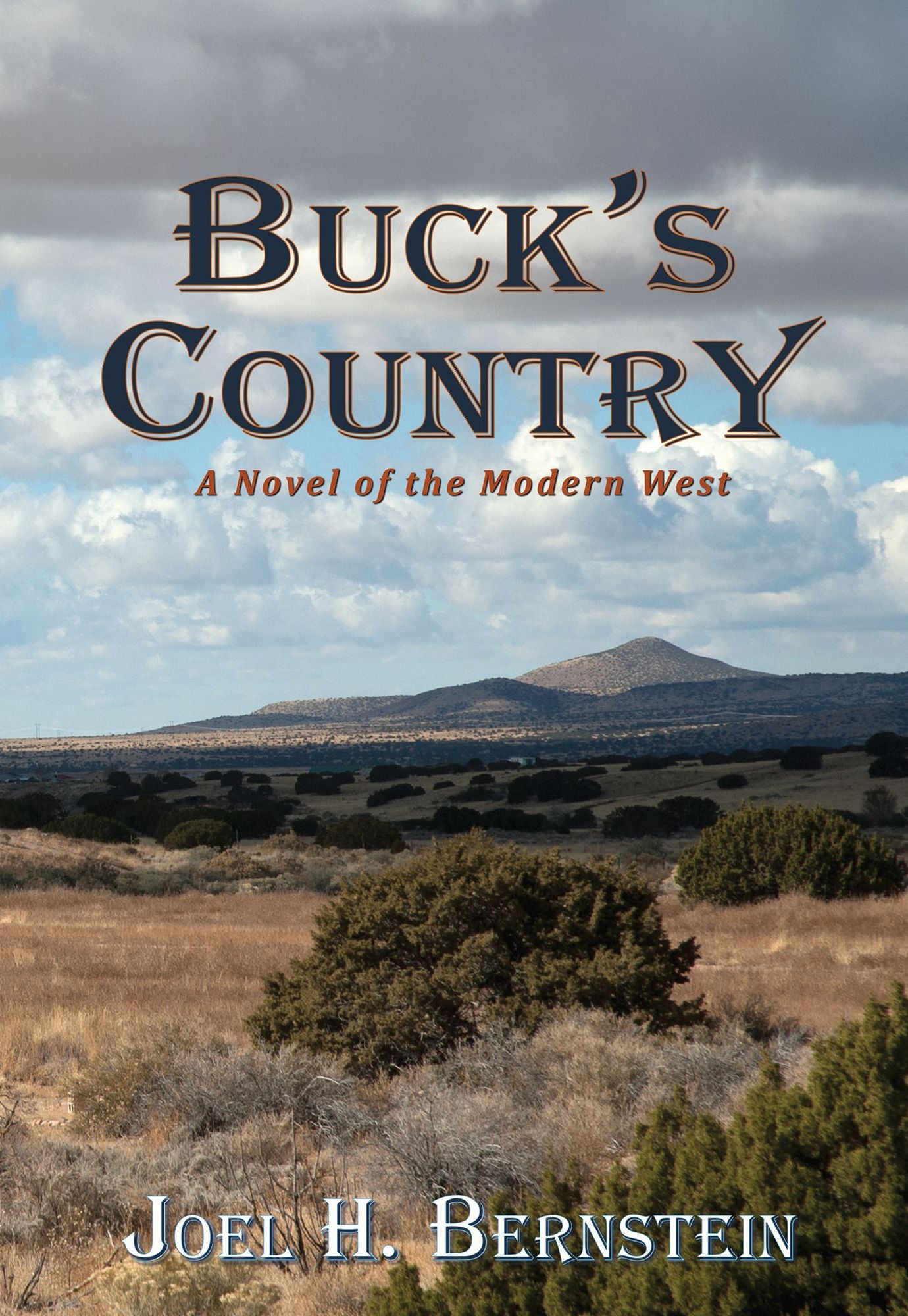 Buck's Country: A Novel of the Modern West
