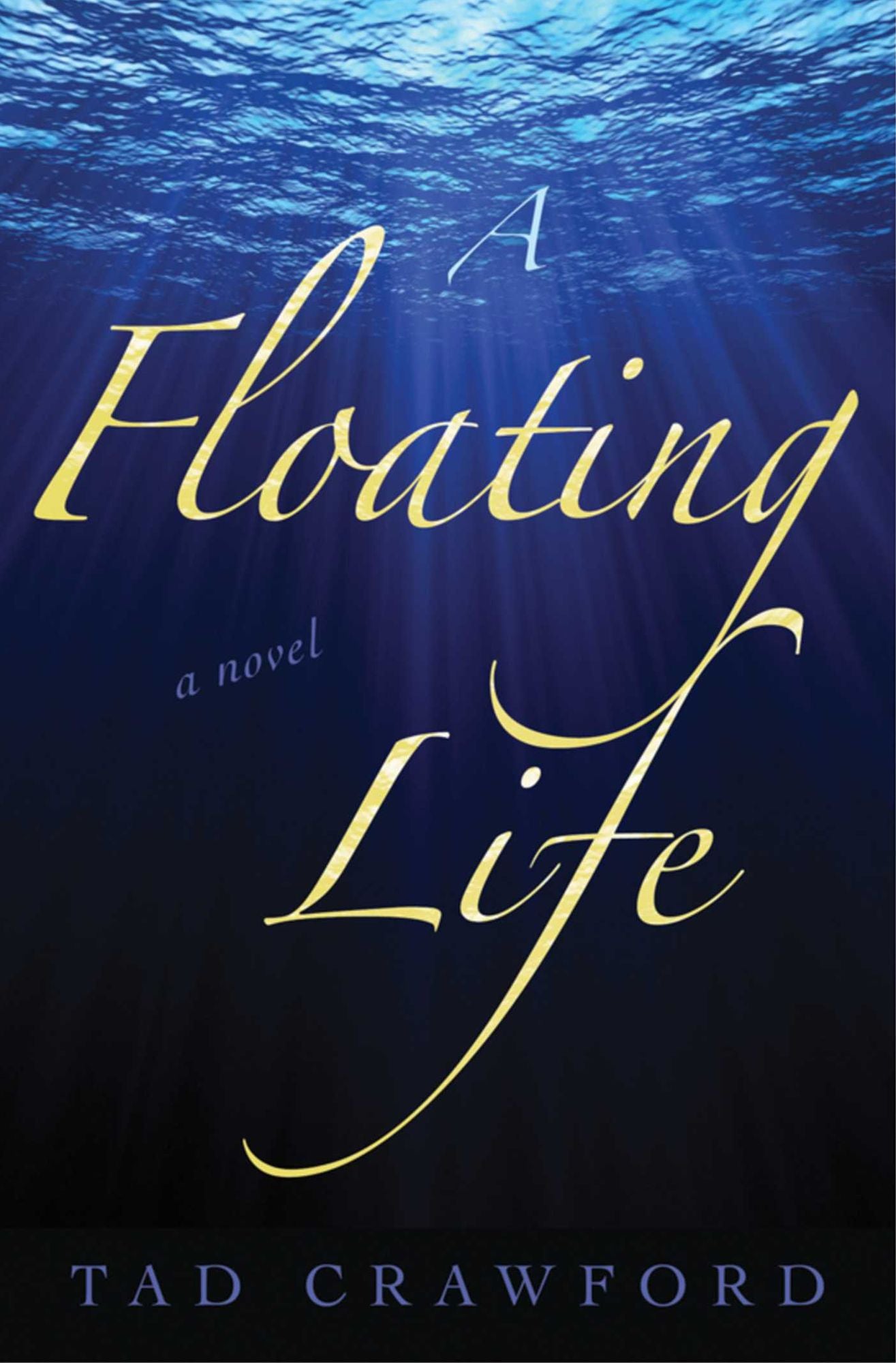 A Floating Life: A Novel
