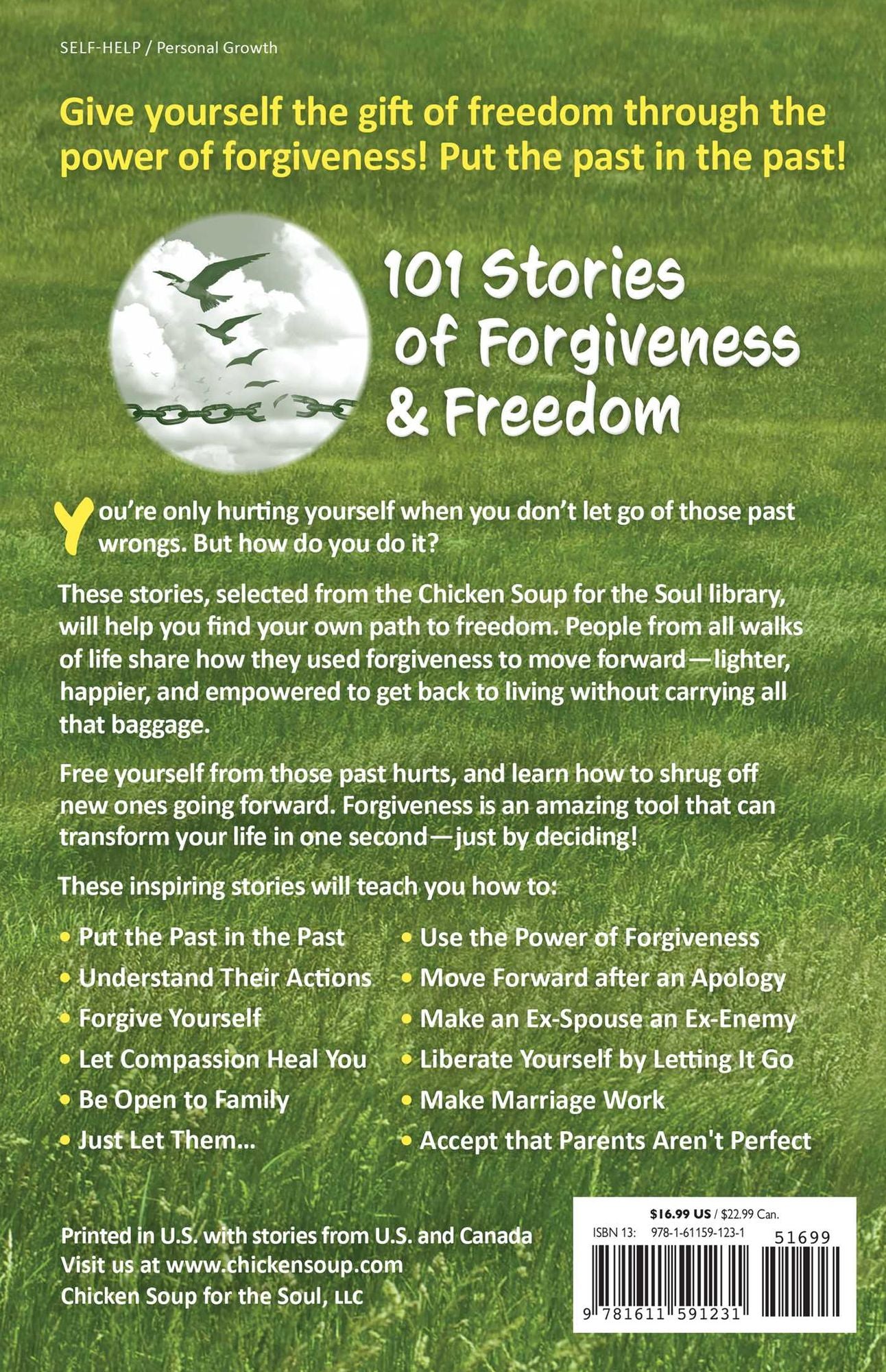 Chicken Soup for the Soul: Let It Go: 101 Stories about Forgiveness and Freedom