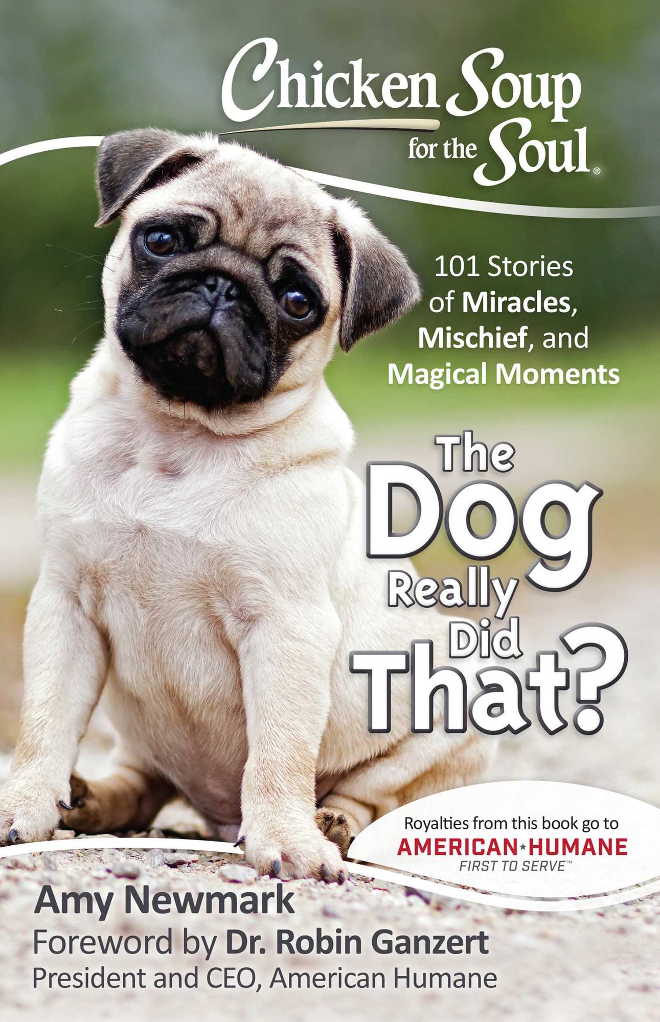 Chicken Soup for the Soul: The Dog Really Did That?: 101 Stories of Miracles, Mischief and Magical Moments