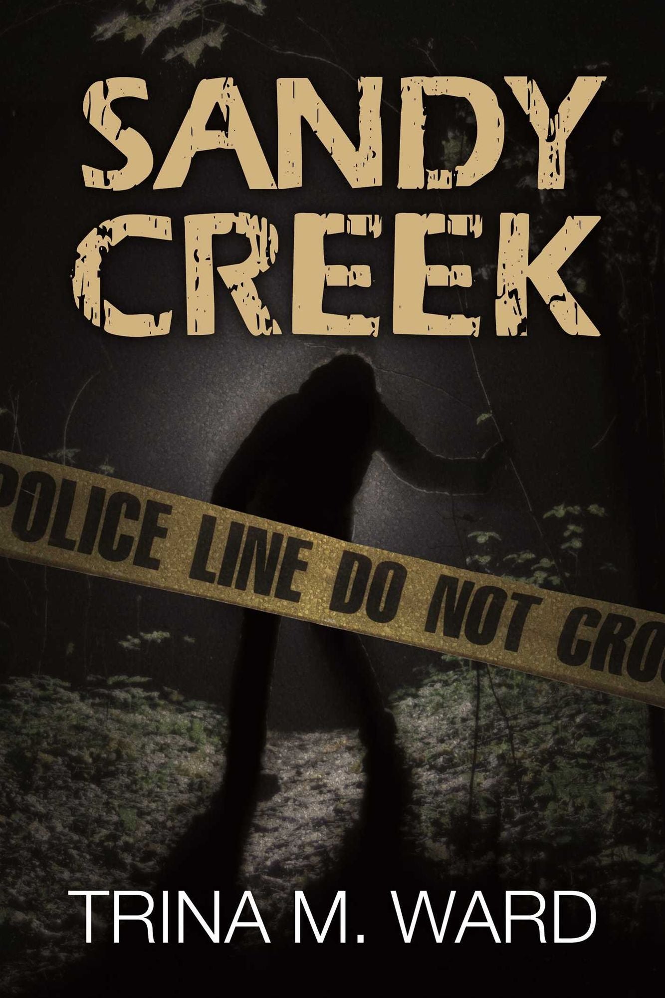 Sandy Creek