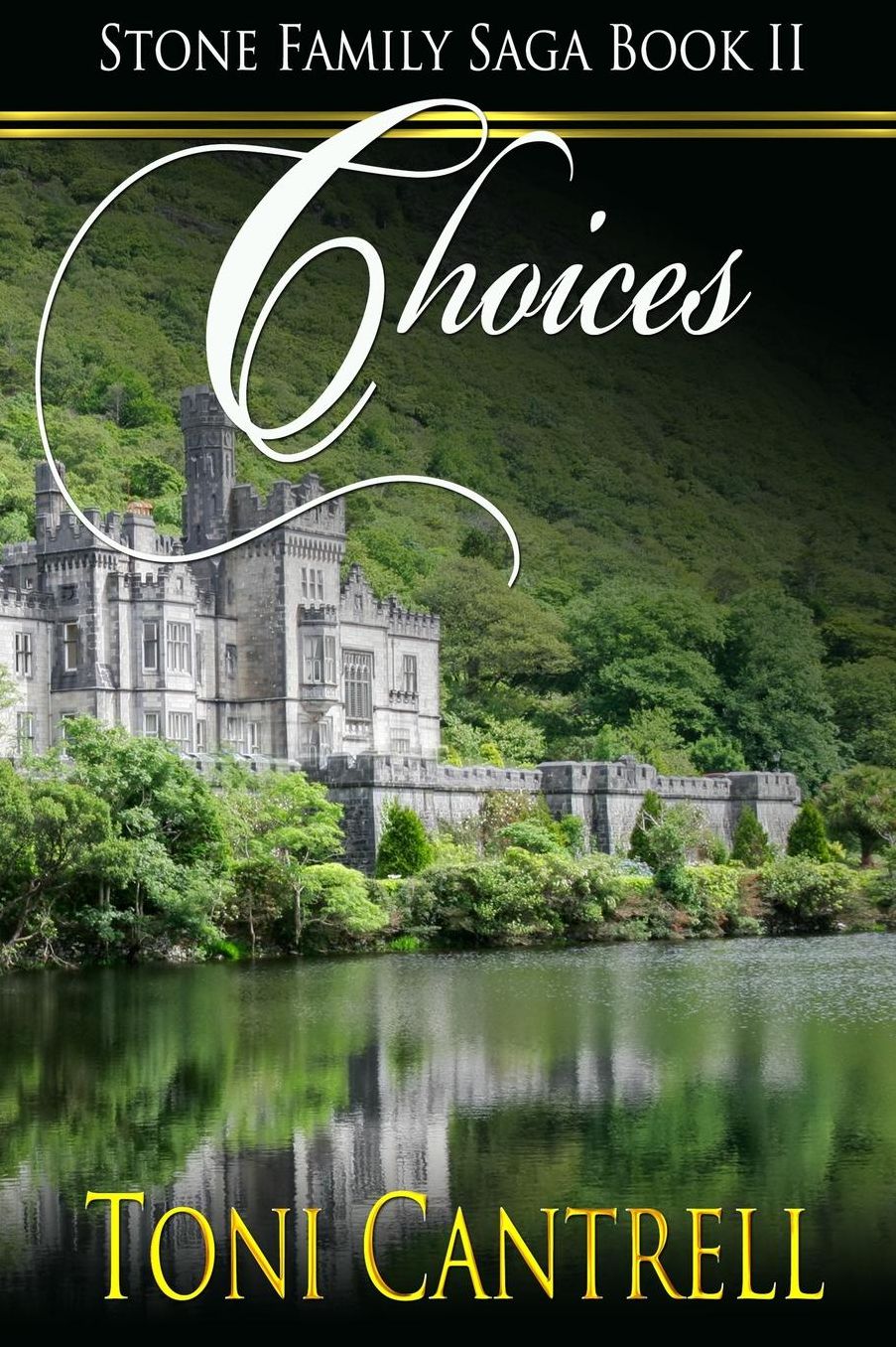 Choices: Stone Family Saga Book 2: Choices