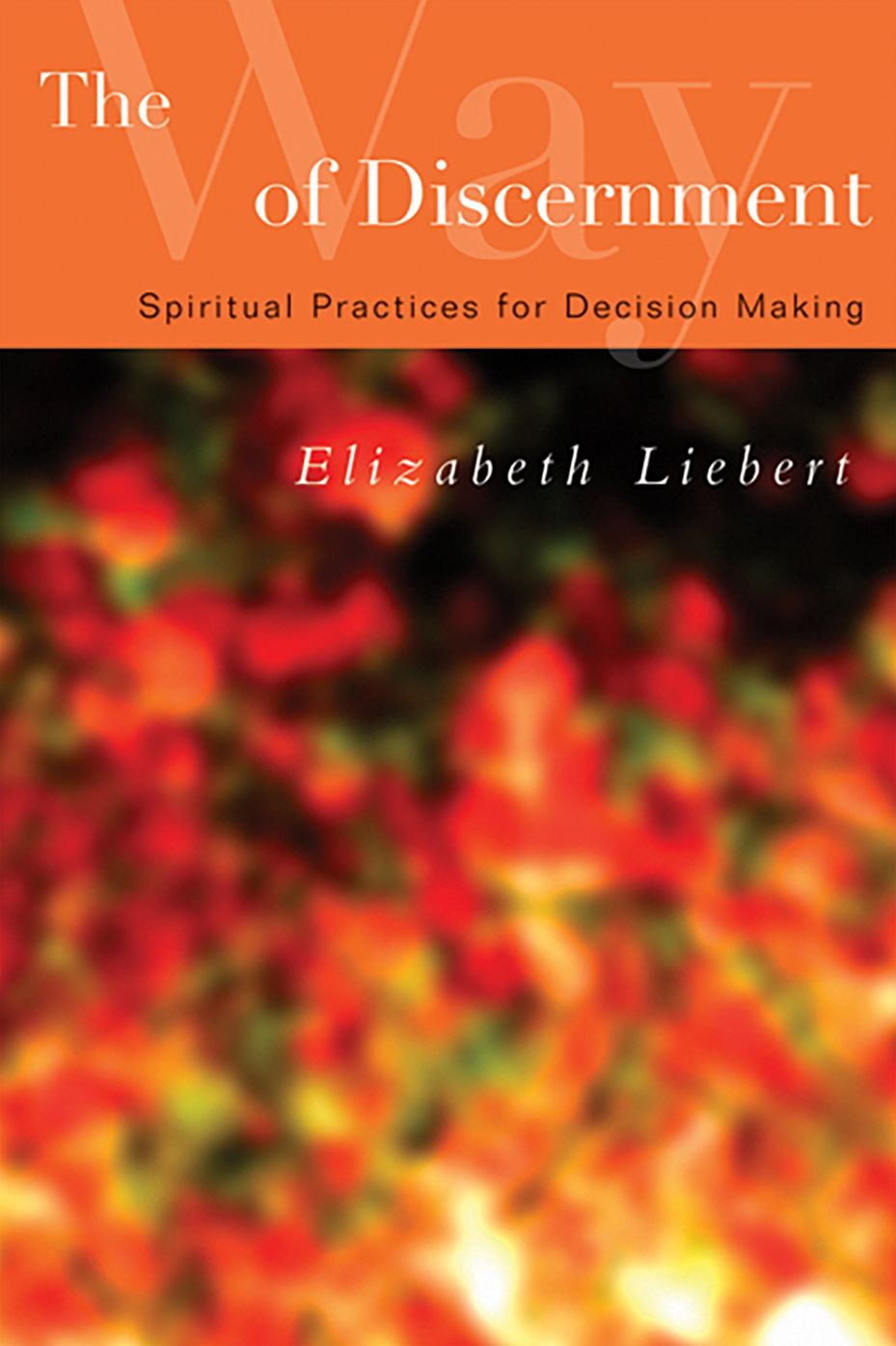 The Way of Discernment: Spiritual Practices for Decision-Making