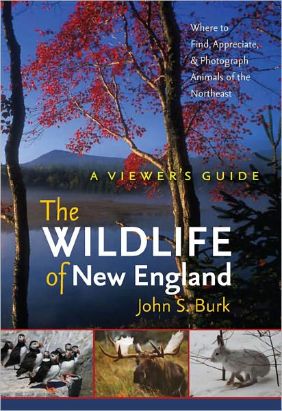 The Wildlife of New England: A Viewer's Guide