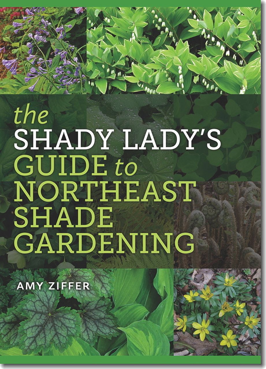 The Shady Lady's Guide to Northeast Shade Gardening