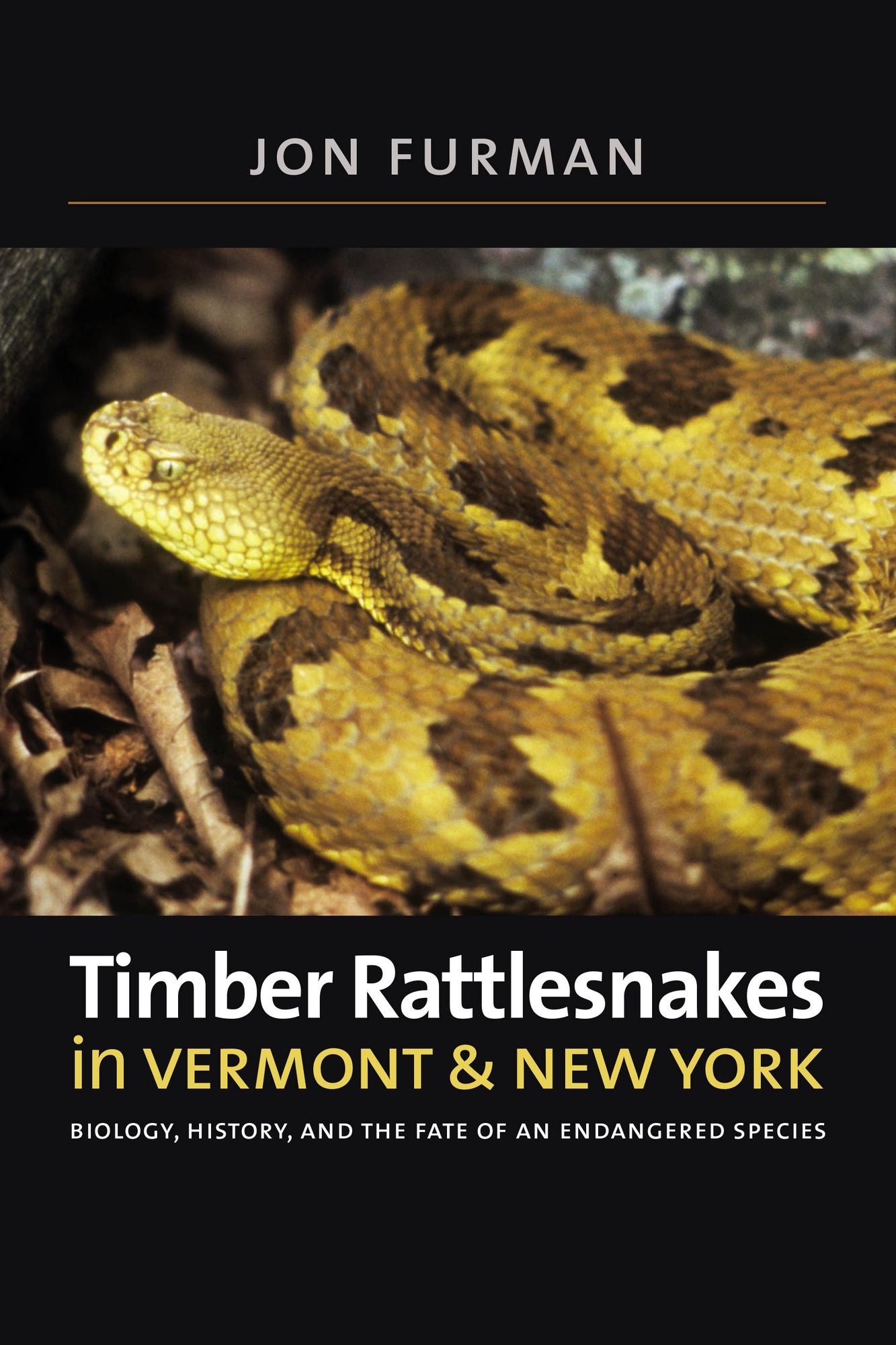 Timber Rattlesnakes in Vermont & New York: Biology, History, and the Fate of an Endangered Species