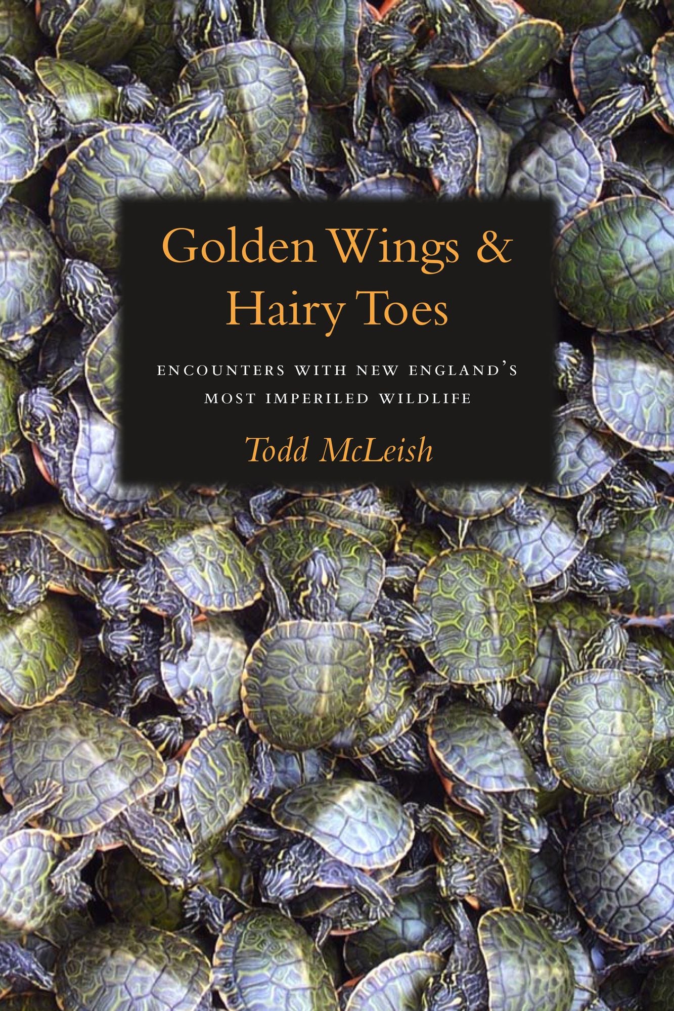 Golden Wings & Hairy Toes: Encounters with New England's Most Imperiled Wildlife