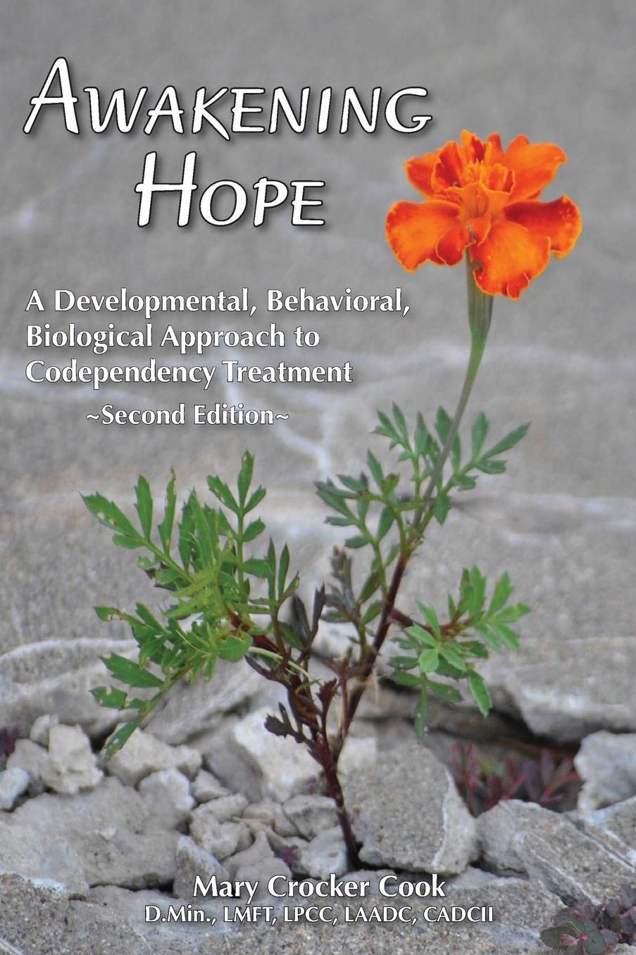 Awakening Hope. A Developmental, Behavioral, Biological Approach To Codependency Treatment.