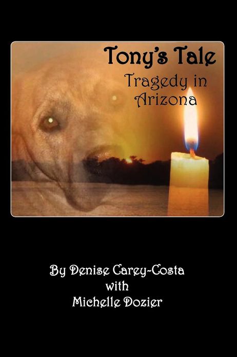 Tony's Tale. Tragedy in Arizona