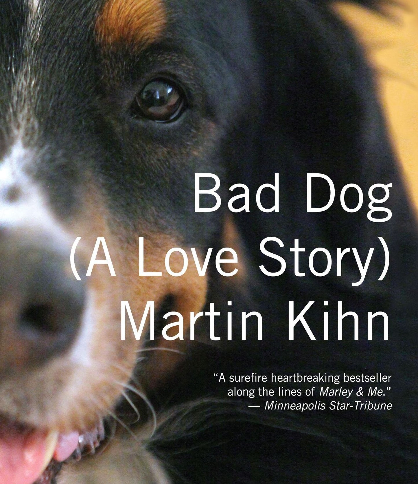 Bad Dog: A Love Story