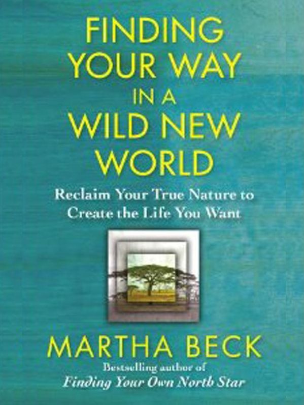 Finding Your Way in a Wild New World: Reclaim Your True Nature to Create the Life You Want